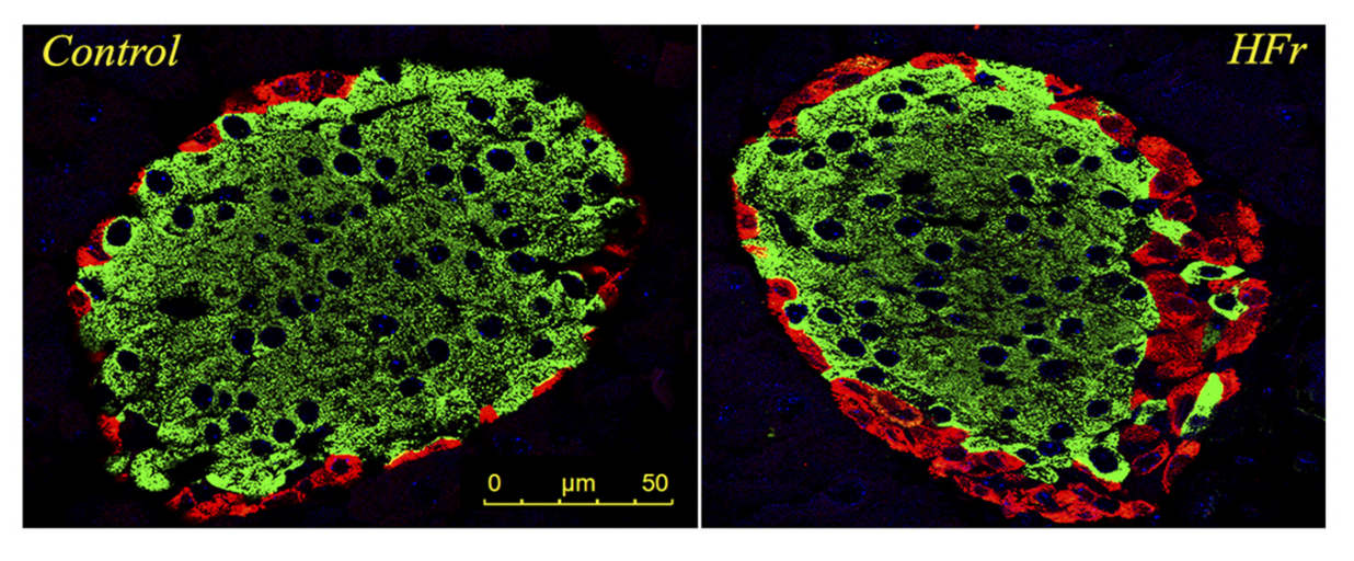 f16ce8779cd29f8acd68b3c26271c1c1.png f16ce8779cd29f8acd68b3c26271c1c1.png