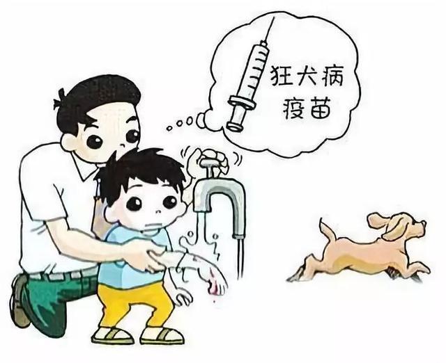 快收藏！海口有哪些狂犬病疫苗接种门诊？