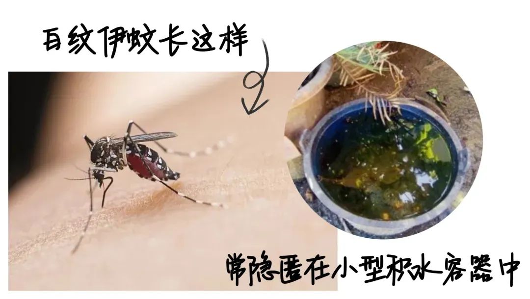 64591fc551aa2fc49f2010412d106854.jpg 64591fc551aa2fc49f2010412d106854.jpg