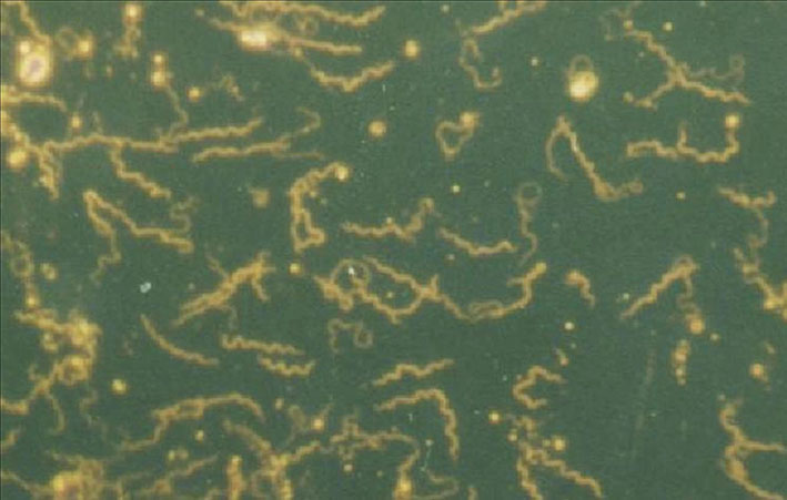 691131b04dddd8096ec252698cabcdcd.png 691131b04dddd8096ec252698cabcdcd.png