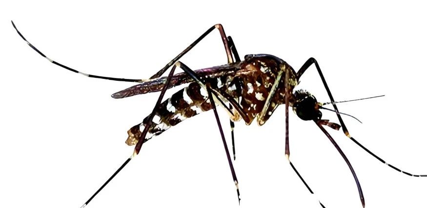 1e888f64da78137a1b4ba85b17a36d88.jpg 1e888f64da78137a1b4ba85b17a36d88.jpg