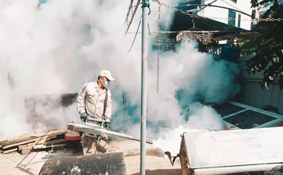 海口将开展统一消杀作业!具体时间→