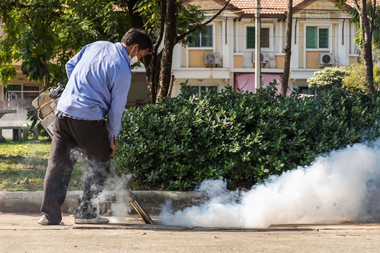 8e8b2aa0be953003a0e22a0f27b75183.jpg 8e8b2aa0be953003a0e22a0f27b75183.jpg