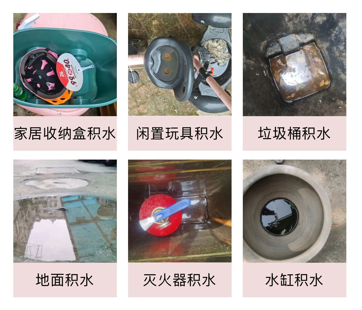 a1f6b6b9497cd8b8079c3e8e1d19190c.jpg a1f6b6b9497cd8b8079c3e8e1d19190c.jpg