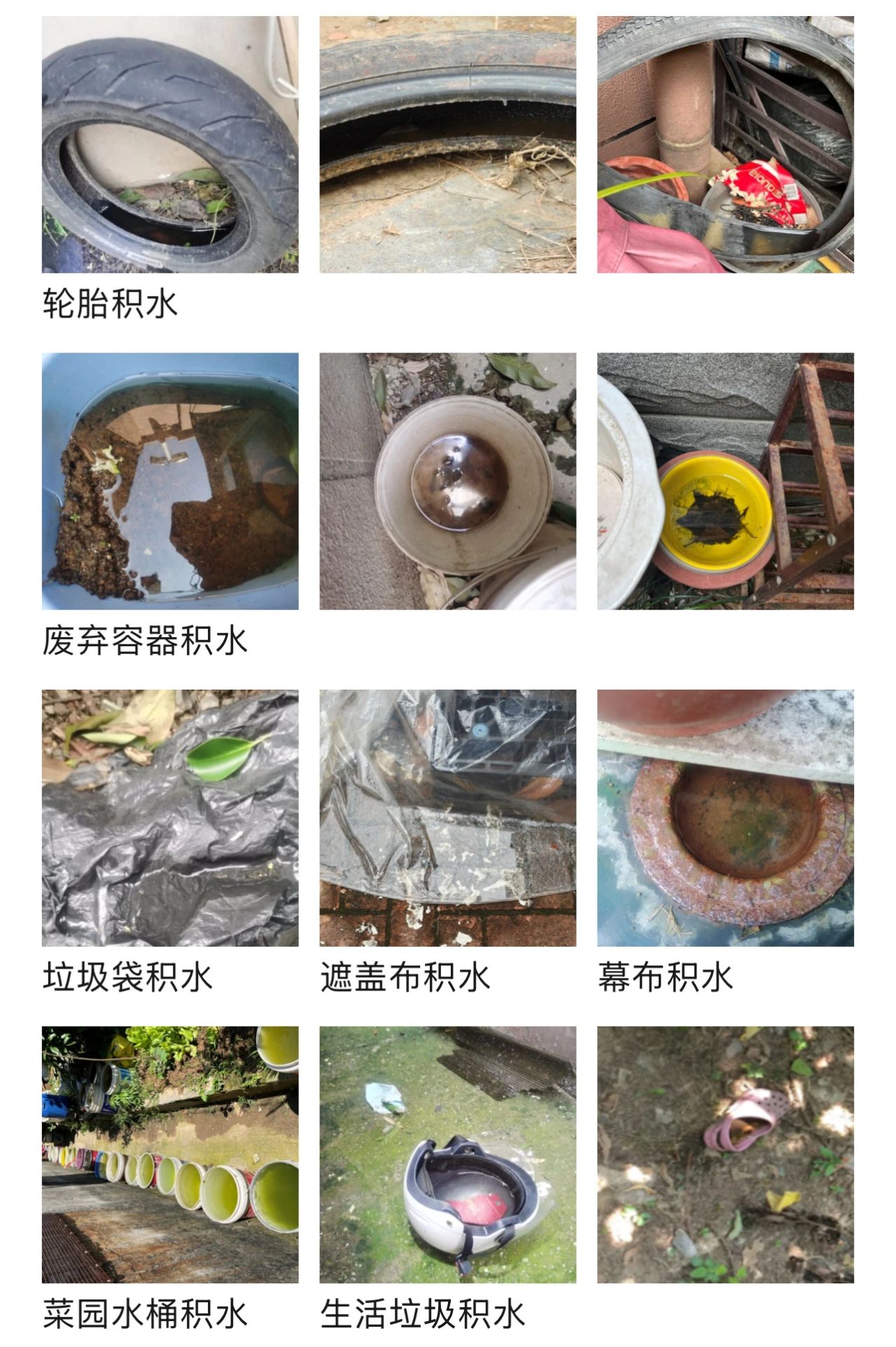 22adc9f4903da807b62cb34cda96876f.jpg 22adc9f4903da807b62cb34cda96876f.jpg