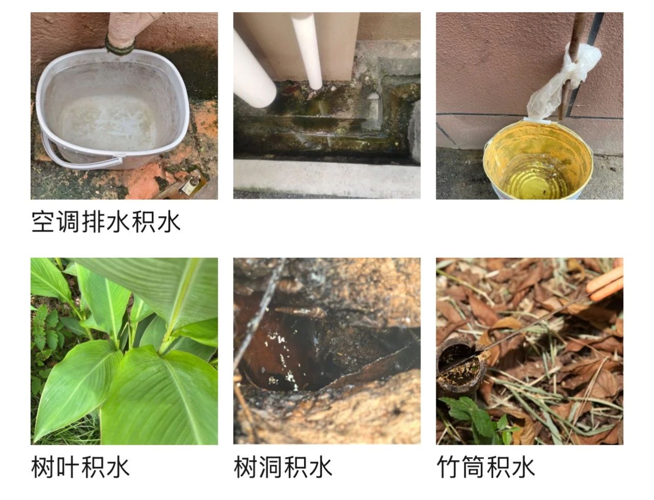 518793fd03fd470b3e94da0788082d2e.jpg 518793fd03fd470b3e94da0788082d2e.jpg