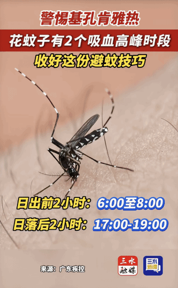 4d07571a4c23d7f530e866d6aa9cd884.jpg 4d07571a4c23d7f530e866d6aa9cd884.jpg