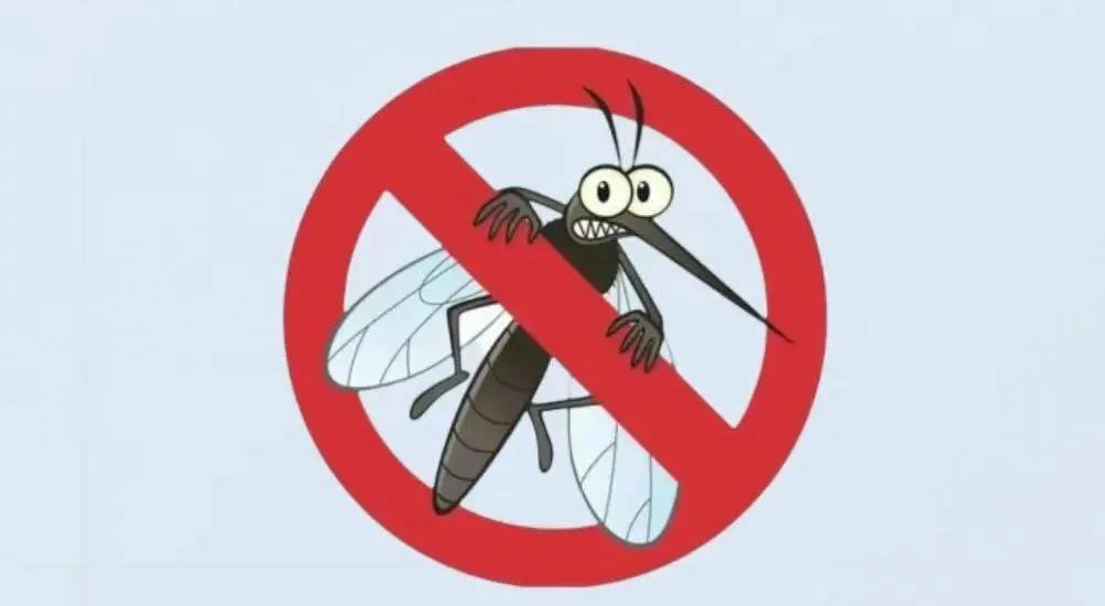 警惕基孔肯雅热!家庭防蚊全攻略在此