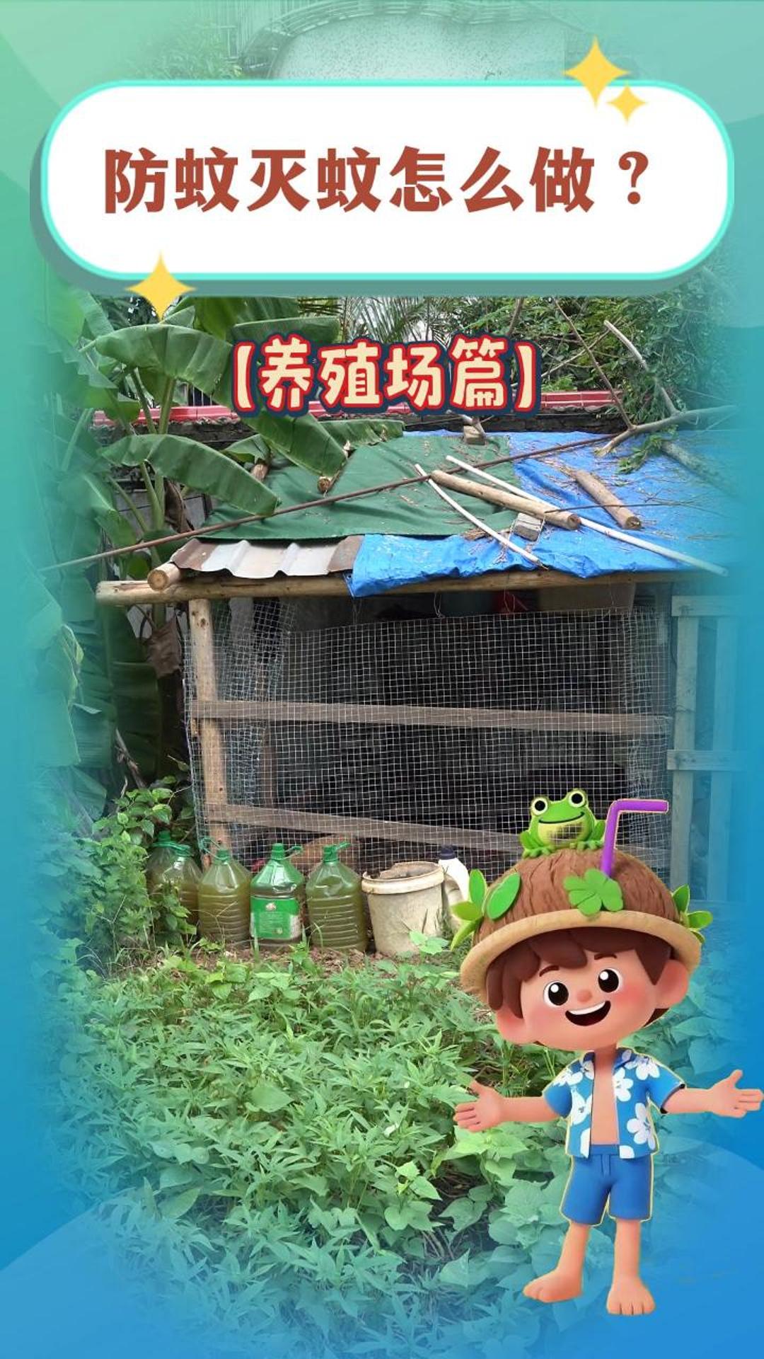 防蚊灭蚊怎么做--农场篇