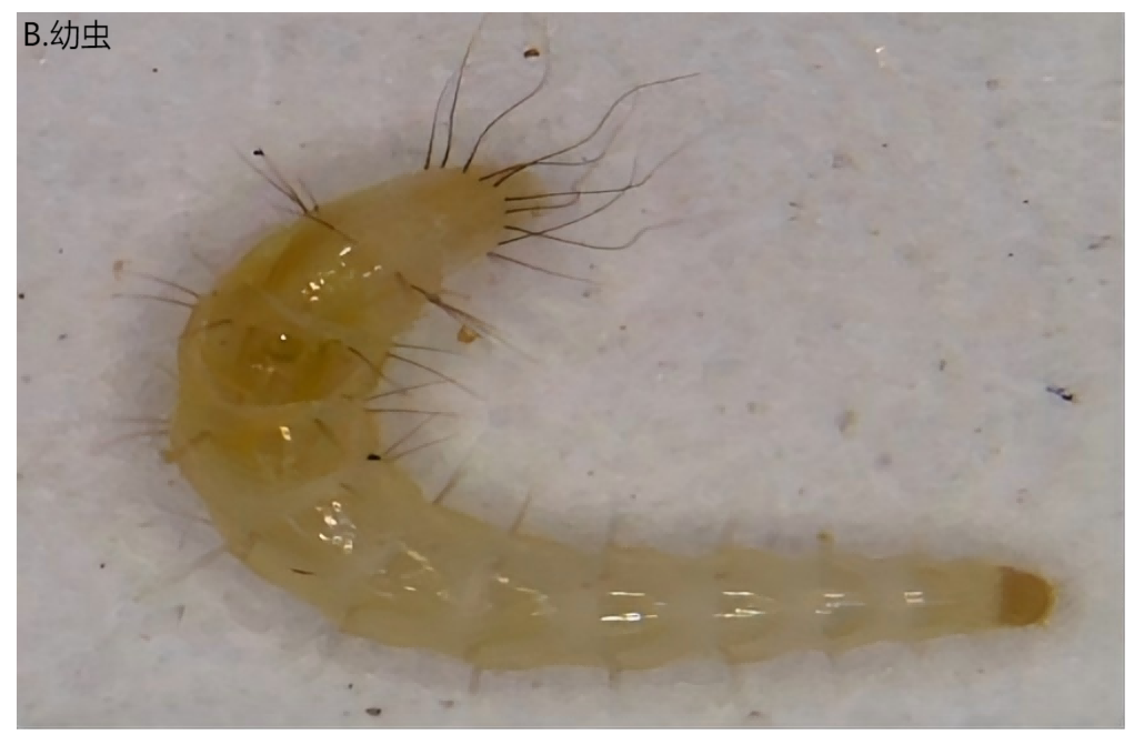 6cd15d2cbe7716083e962017ce007f37.png 6cd15d2cbe7716083e962017ce007f37.png