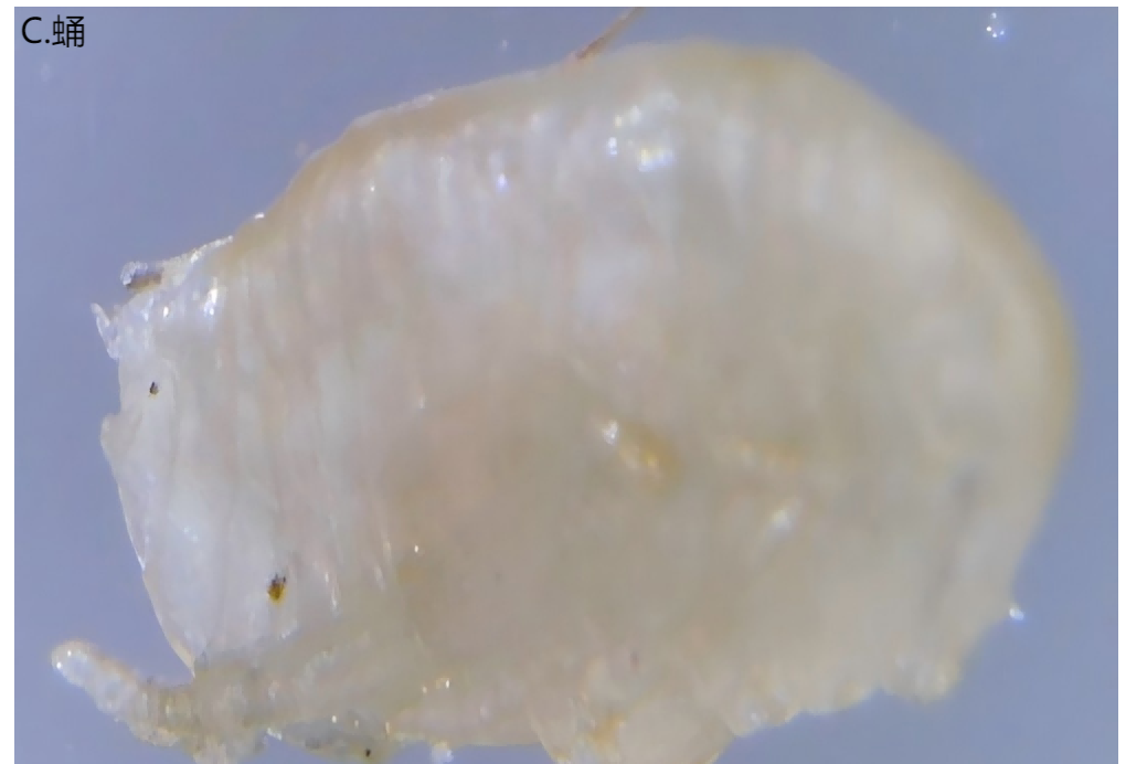 ab462d31d3779fbf7919bf63b16303f3.png ab462d31d3779fbf7919bf63b16303f3.png