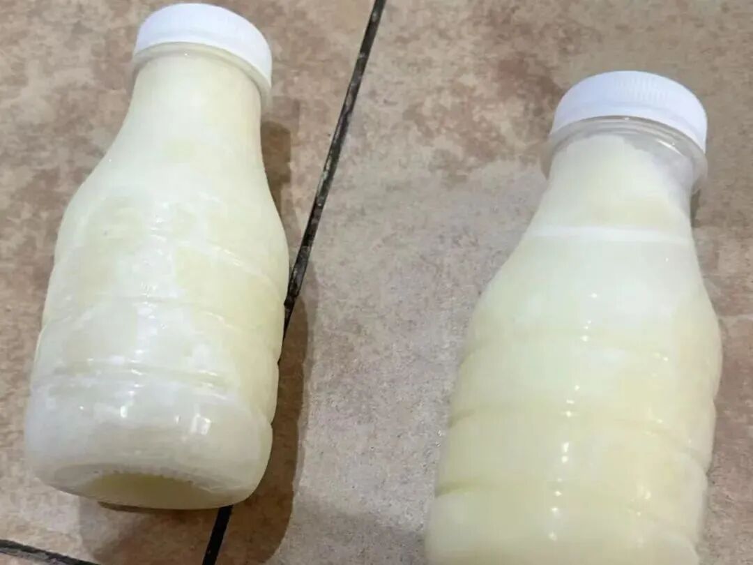 现挤鲜奶或藏致命菌,煮沸能防吗?