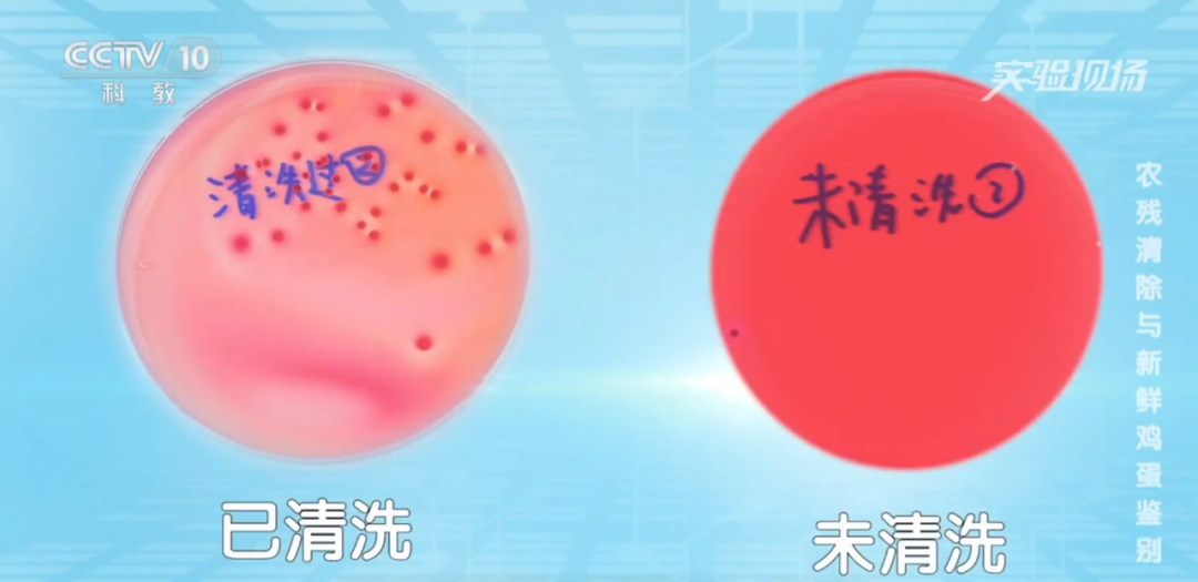 91456b1e1784736572d6ab28e6a5dc44.png 91456b1e1784736572d6ab28e6a5dc44.png