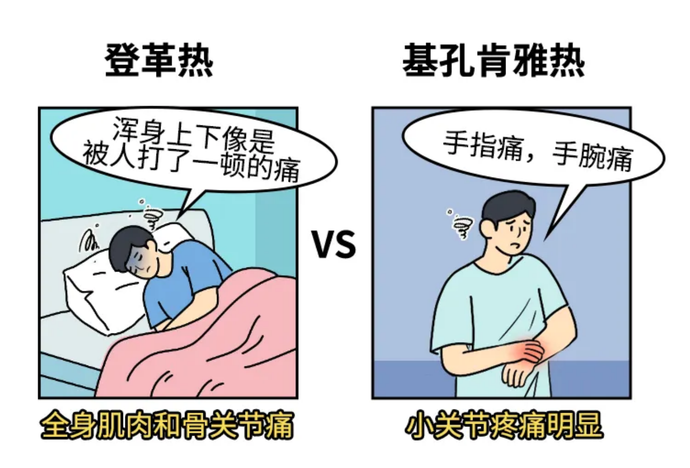 e22dfc0594a642aa015a130387ed0e73.png e22dfc0594a642aa015a130387ed0e73.png