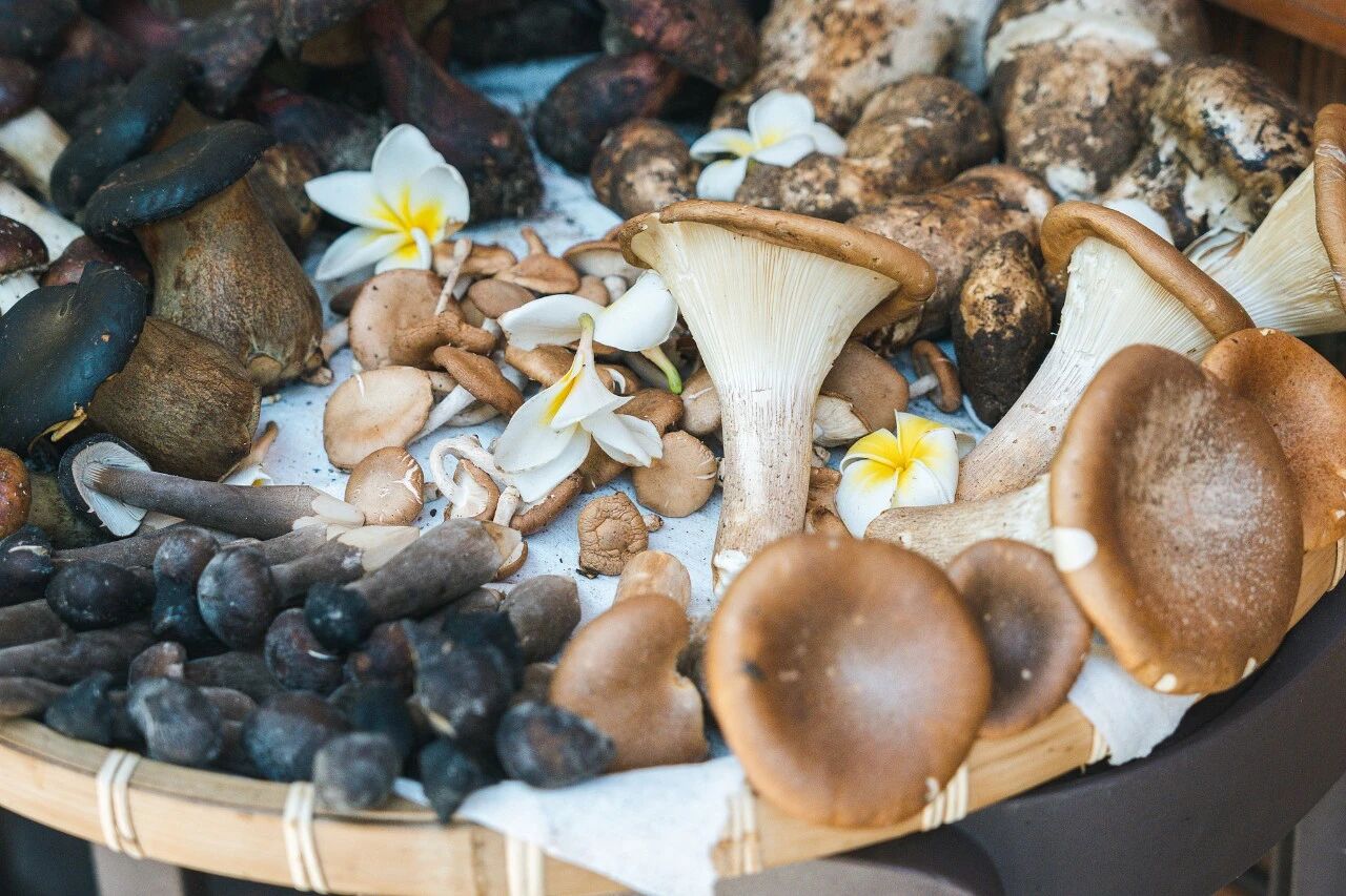 9b6cc4df9c804c75ad242a3f675d24bf.jpg 9b6cc4df9c804c75ad242a3f675d24bf.jpg