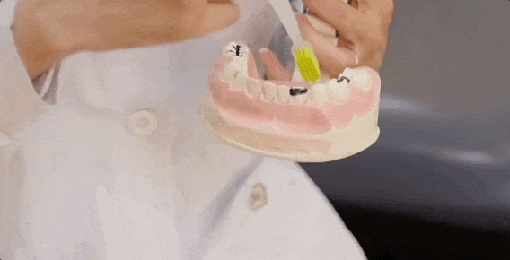 视频演示插图 视频演示插图