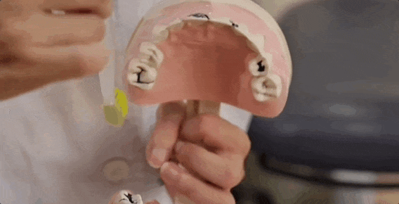 视频演示插图 视频演示插图